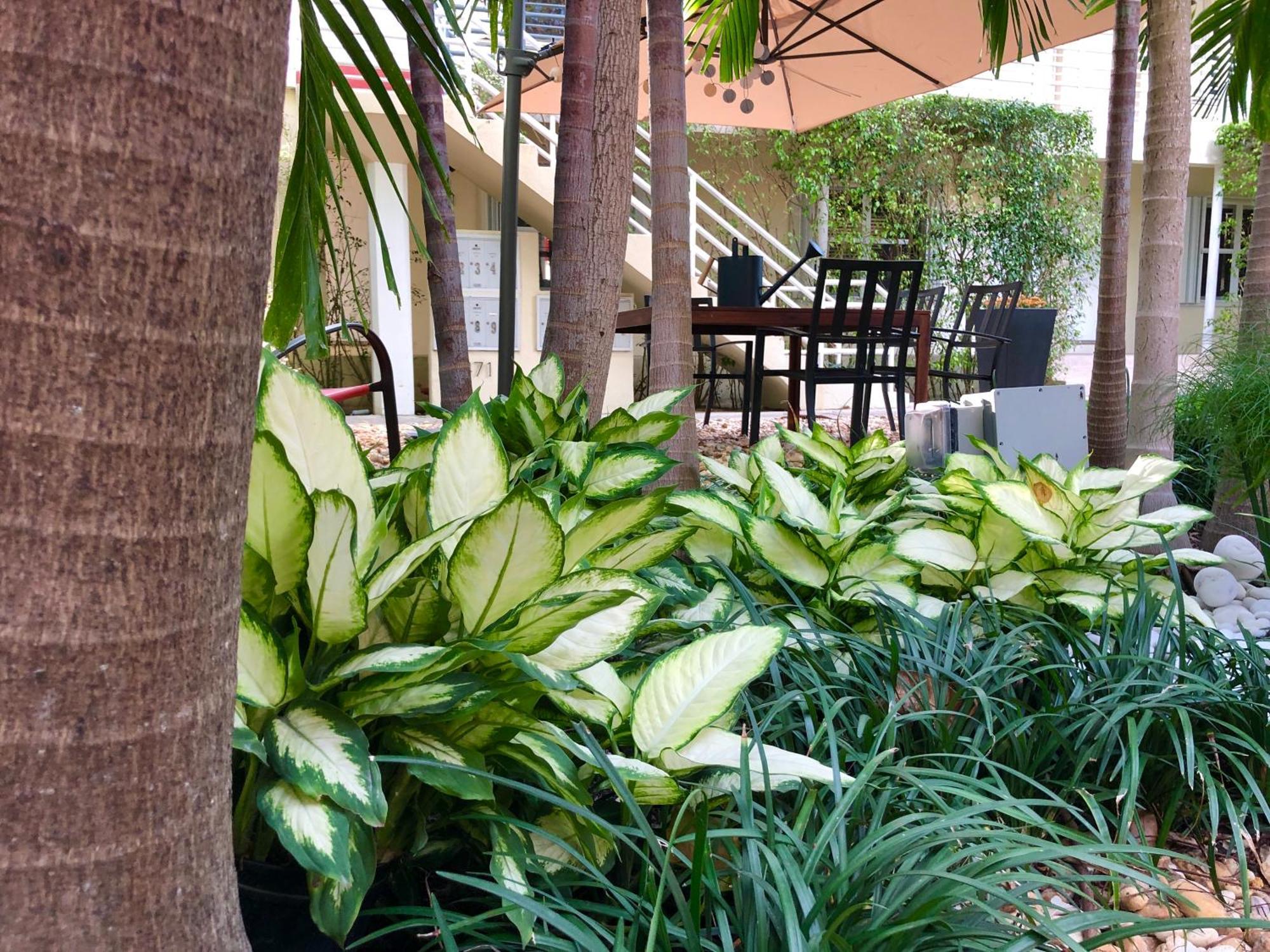 The Oasis Appartamento Miami
